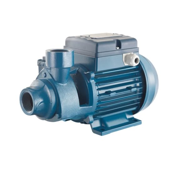 الکترو پمپ یک اسب محیطی پنتاکس ایرانی  - PENTAX PM 80